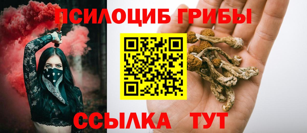 Псилоцибиновые грибы Psilocybe  Вход с VPN  Галлюциногенные грибы Cubensis  Новый Уренгой 